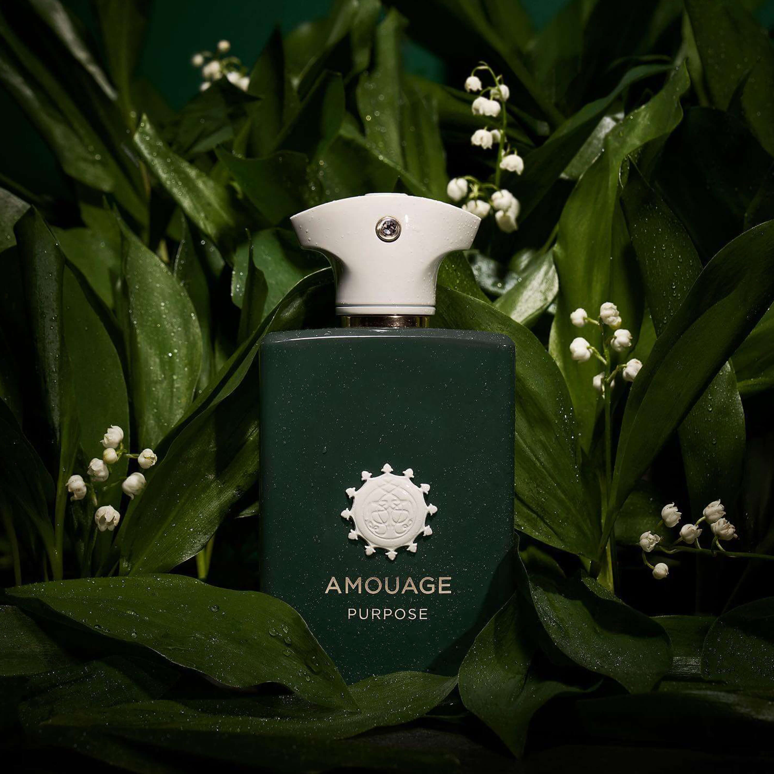 Amouage Purpose Luxe Perfumery