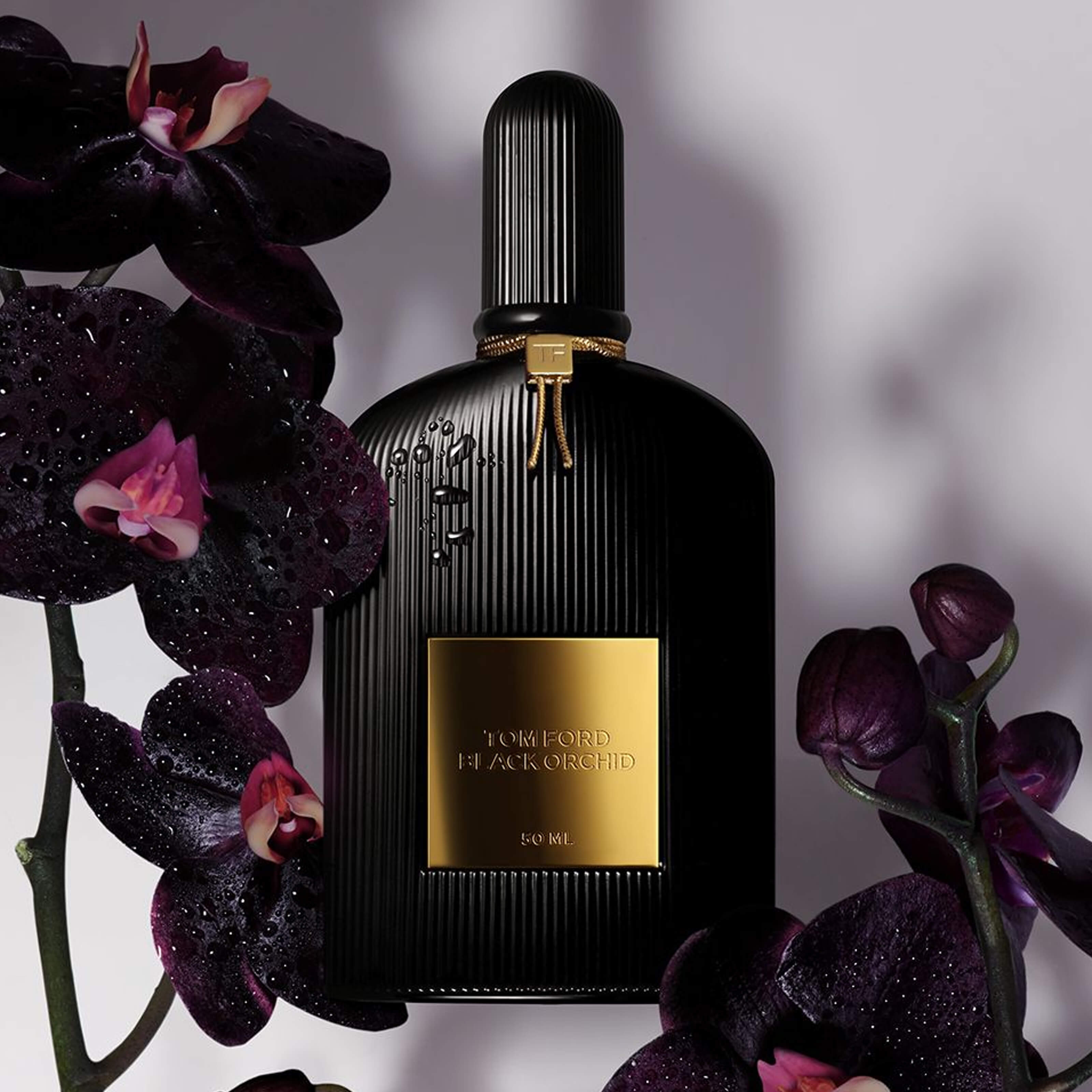 Tom Ford store Black Orchid